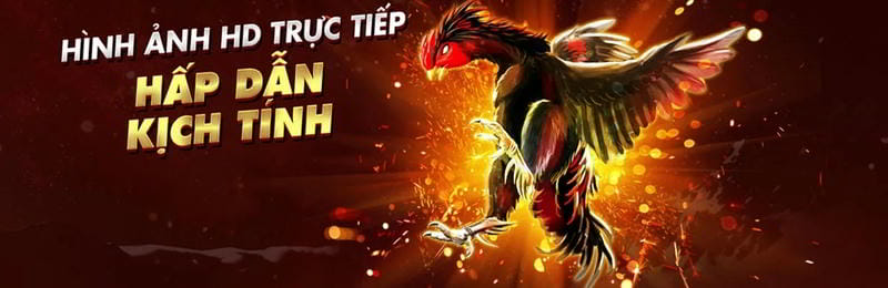 Hướng dẫn xem đá gà trực tiếp trên BJ88 – Trải nghiệm cực đã - Ảnh 1