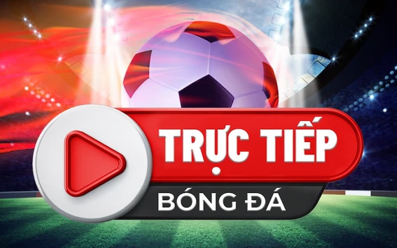 Top các trang xem trực tiếp bóng đá xoilac mới nhất - Ảnh 3