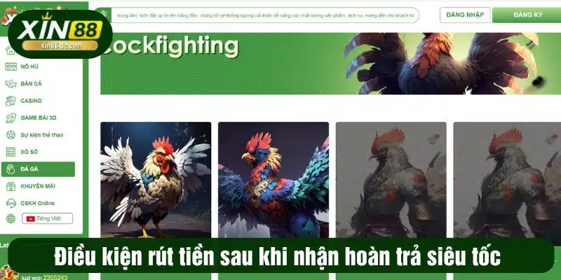 Khuyến Mãi Siêu Hot XIN88: Ưu Đãi Đặc Biệt, Giảm Giá Sốc Và Quà Tặng Hấp Dẫn - Ảnh 3