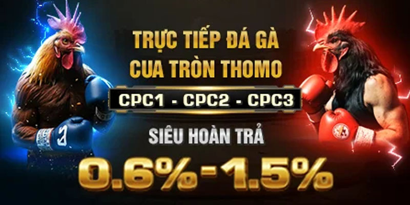 Lịch đá gà sv388 hôm nay - Cập nhật nóng hổi, kèo thơm chờ bạn - Ảnh 2