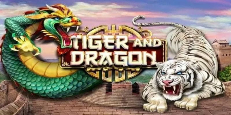 Kinh nghiệm chơi rồng hổ tại Vinbet nâng cao tỷ lệ - Ảnh 3