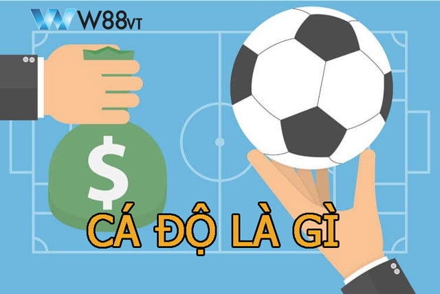 W88 VT giải mã cá độ là gì và hướng dẫn chơi có kiểm soát