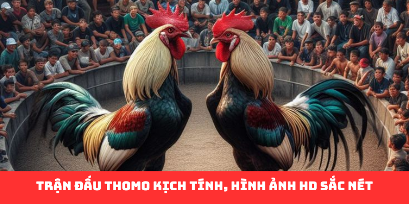 Đá Gà Campuchia Fun88 - Hành Trình Giải Trí Đỉnh Cao - Ảnh 2