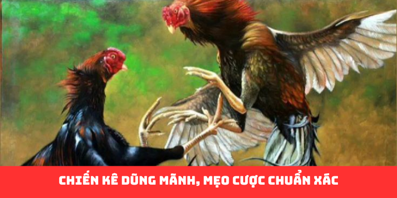 Đá Gà Campuchia Fun88 - Hành Trình Giải Trí Đỉnh Cao - Ảnh 3