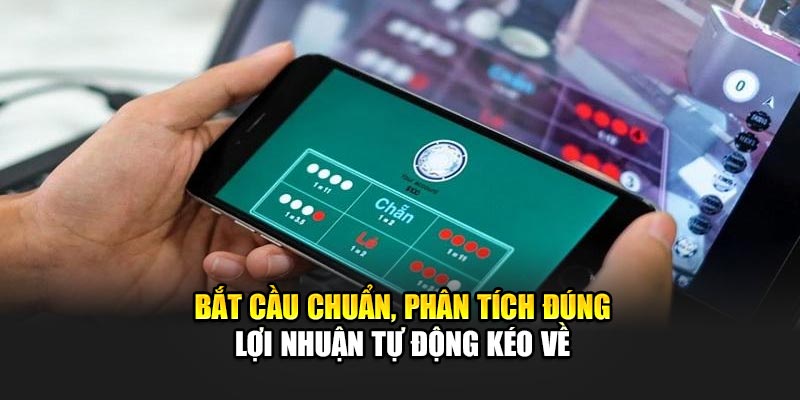 Mẹo Chơi Xóc Đĩa Online Tại 89bet – Bật Mí Chiến Thuật Độc Lạ! - Ảnh 3
