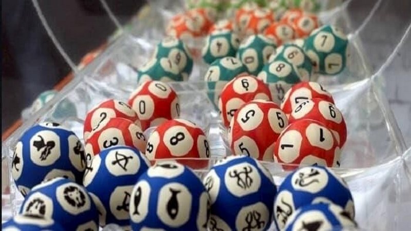 Bao lô là gì? Hướng dẫn chi tiết cho người mới bắt đầu