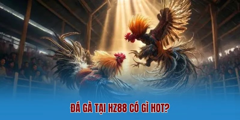 Đá Gà – Chuyên Mục Cá Cược Kịch Tính Bậc Nhất Nhà Cái HZ88