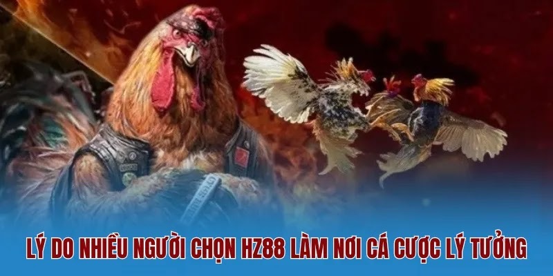 Đá Gà – Chuyên Mục Cá Cược Kịch Tính Bậc Nhất Nhà Cái HZ88 - Ảnh 3